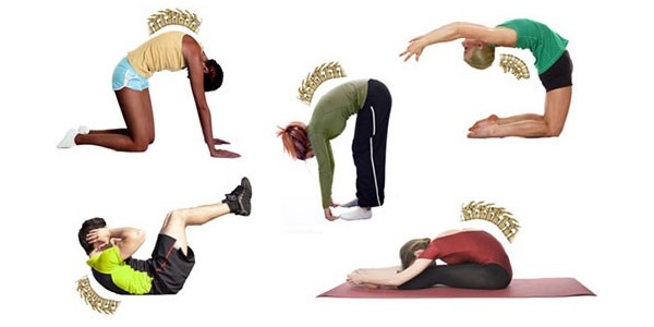 Основная профилактика грыж позвоночника - физические упражнения