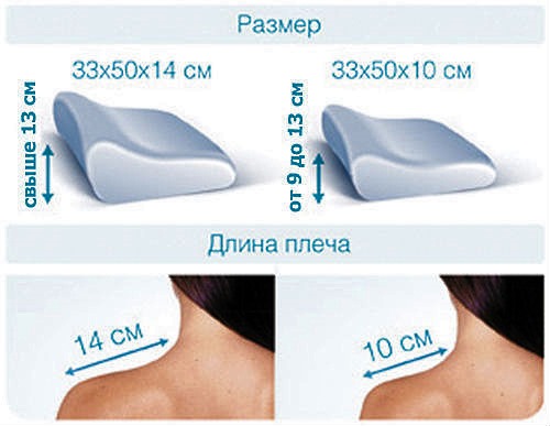 Правильно подобранная высота условно равна ширине плеча