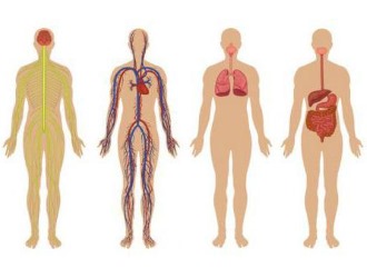 Ознакомьтесь с побочными реакциями препарата Тайленол
