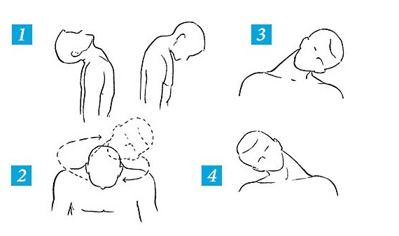 Обратите внимание, как правильно выполнять разминку для шеи перед основным комплексом упражнений