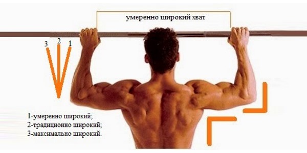 Техника правильных подтягиваний