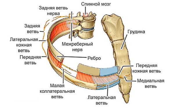 Показанием для приема таблеток Седальгин Плюс могут быть боли неврологического характера