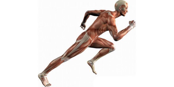 Ниже описаны полезные свойства бега