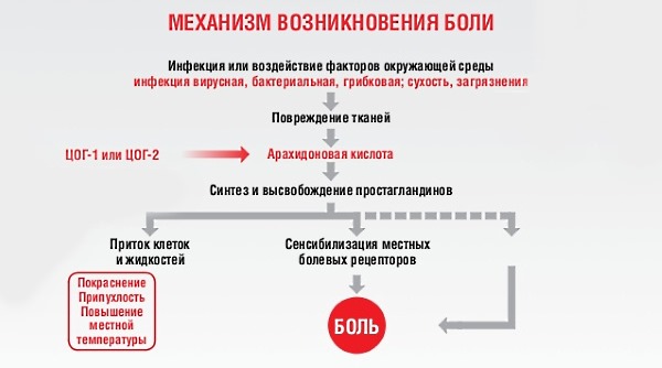 Нимесил купирует боль и воспаление различного происхождения