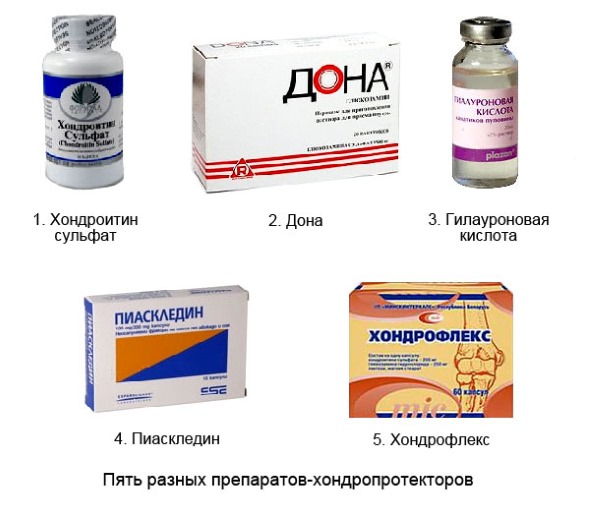 Одни из важнейших препаратов для лечения опорно-двигательного аппарата - хондропротекторы