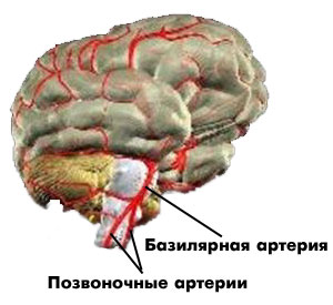 базильярная артерия