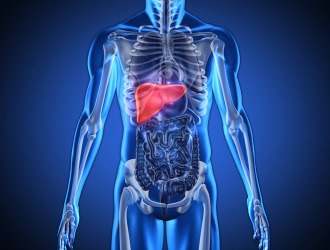 Нужно учитывать, что Лефлуномид оказывает сильное гепатотоксическое действие