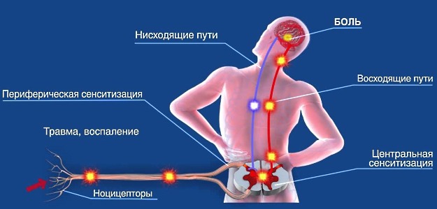 Препарат назначается для купирования боли