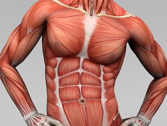 Точный диагноз радикулит можно поставить с помощью МРТ и рентгена