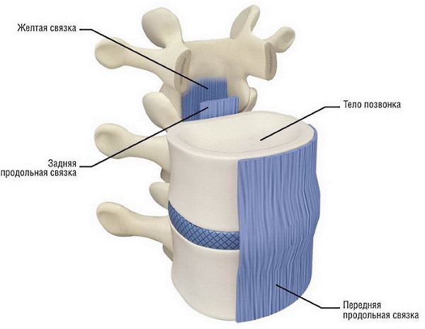 Иглорефлексотерапия способствует снятию мышечного напряжения позвоночника, что уменьшает компрессию на диски
