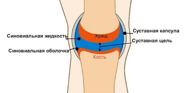 Препарат улучшает состав и эластичность синовиальной жидкости суставов