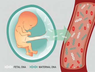 Деформироваться позвоночник может по причине наследственности