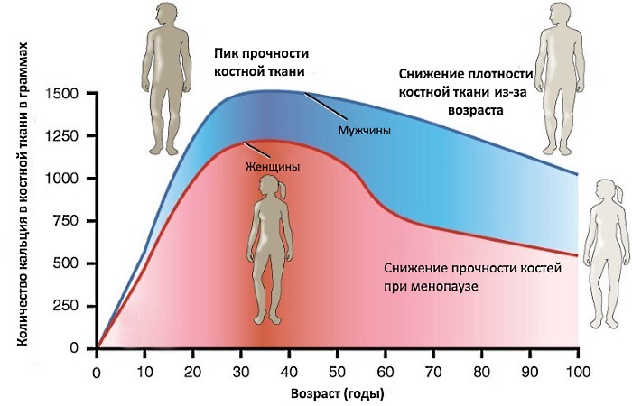 Назначают Рокальтрол при различных причинах снижения плотности костной ткани