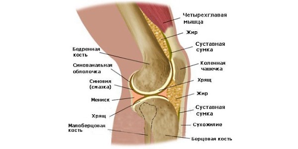Лекарство хорошо помогает при артралгии