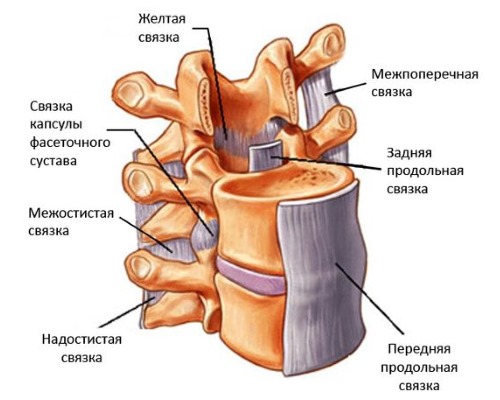 Используют Диклак гель при проблемах со связками и болях в позвоночнике