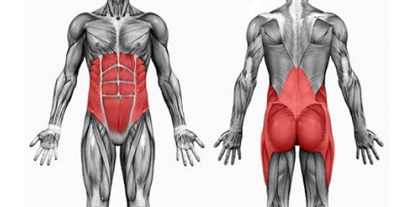 Очень важно в первую очередь перед полноценными тренировками укрепить мышечный корсет