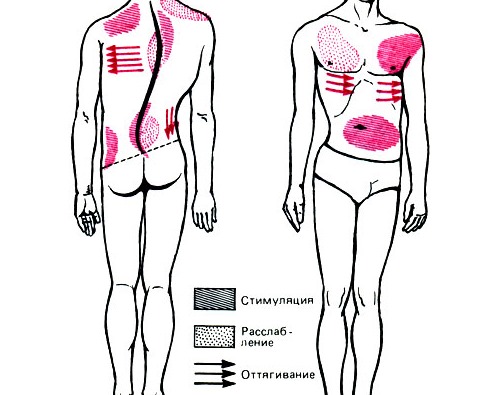 Обратите внимание какие зоны необходимо стимулировать и растягивать относительно изгиба