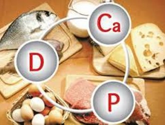 Обратите внимание на суточную норму кальция и фосфора для человека