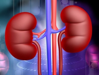 Одним из основных противопоказаний к приему Глюкозамина - нарушения в работе почек