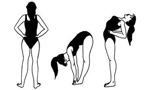 Техника выполнения упражнения гибкая лоза