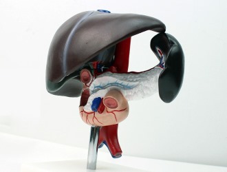 Нарушения в работе внутренних органов являются противопоказанием для использования Индометацина