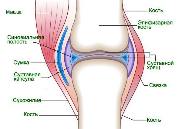 Гель вводят непосредственно в сустав для устранения боли и выступает в роли временного имплантата