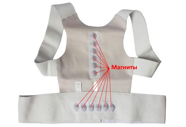 В магнитных корректорах находятся магниты размещенные вдоль позвоночника