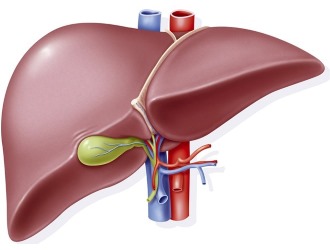 Особую осторожность в приеме препарата необходимо соблюдать при почечной и печеночной недостаточности