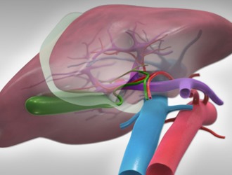 Не назначают препарат при печеночной недостаточности