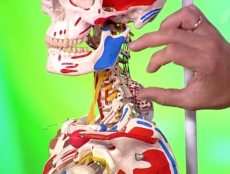 Остеохондроз тяжело поддается лечению, поэтому обратите внимание на принципы его профилактики