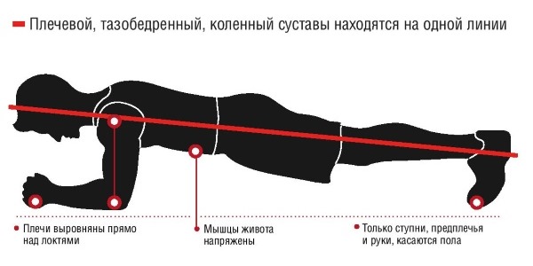 Планка относится к упражнениям со специфической осевой нагрузкой