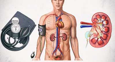 Почечная артериальная гипертензия