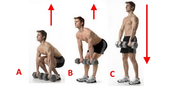 Становая тяга популярна тем, что задействует большое количество мышечных групп, в том числе и разгибатели спины