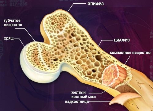 Эксджива предназначена для терапии костных метастаз и их последствий