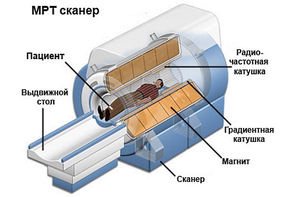 Обратите внимание на строение томографа