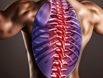 Профилактика инфекционного воспаления позвоночника заключается в укреплении иммунитета