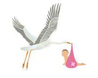 аист с ребёнком