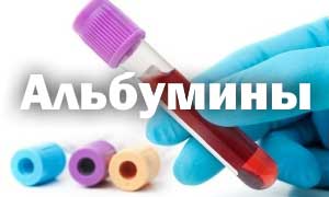 альбумины