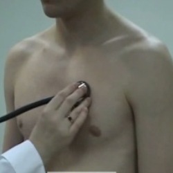 аускультация