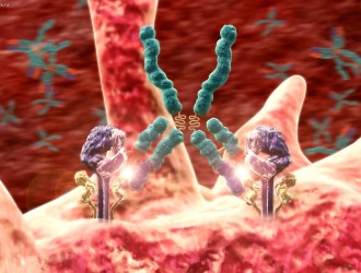 Используют Преднизалон в форме таблеток при наличии аутоиммуных заболеваний