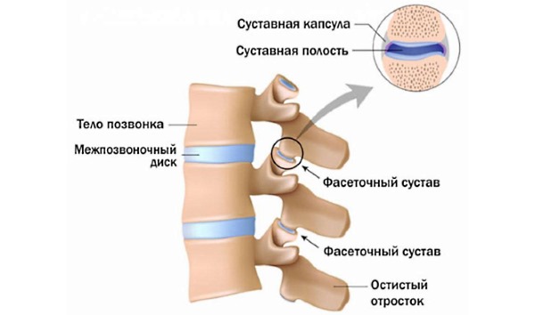 Гимнастика Норбекова назначается при различных проблемах с суставами позвоночника