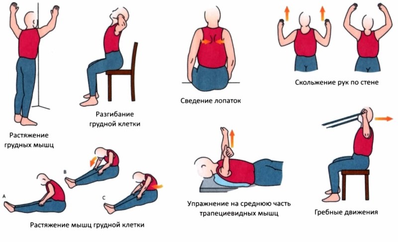 Выполнение некоторых упражнений для грудного отдела