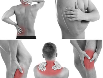 Большая часть отзывов о препарате Суставитин положительная