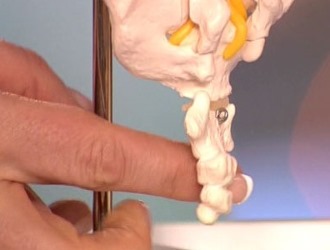 Лечение патологий копчика требуют предварительной точной диагностики, так как они могут иметь серьезные последствия