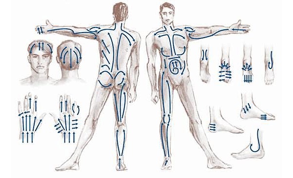 Обратите внимание на схему перемещения банок во время массажа
