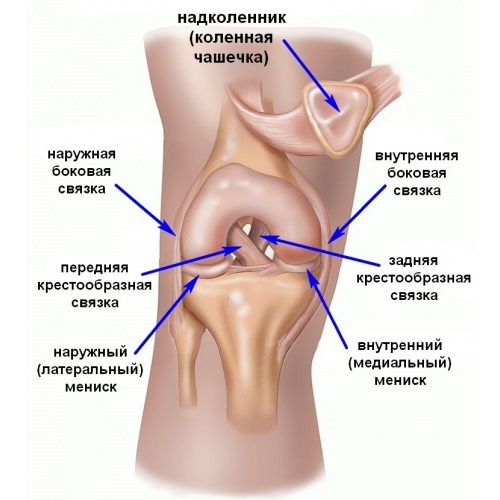 Флекс Про назначают при различных заболеваниях суставов, подробнее с которыми можно ознакомиться ниже