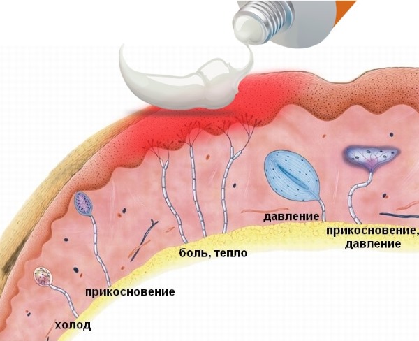 Использовать мазь можно не более 10 дней