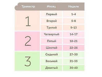 На первом и третьем триместре беременности принимать Параскофен запрещено