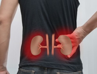 Не назначают средство при заболеваниях почек