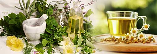 фитотерапия